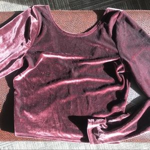 ✨FLASH SALE✨ Velvet Crop Top